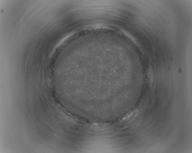 X0000076320823200610272002