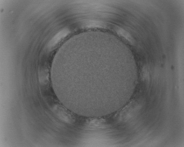 X0000076320824200610272002