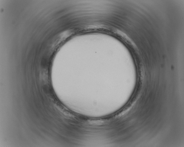 X0000076320825200610272002