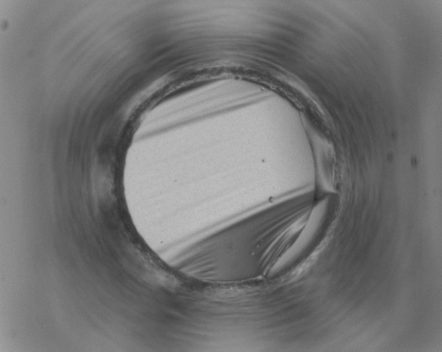 X0000076320826200610272002