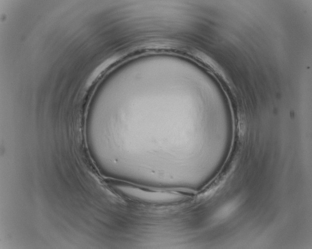 X0000076320829200610272002