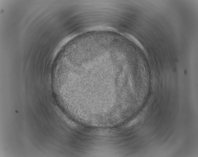 X0000076320831200610272002