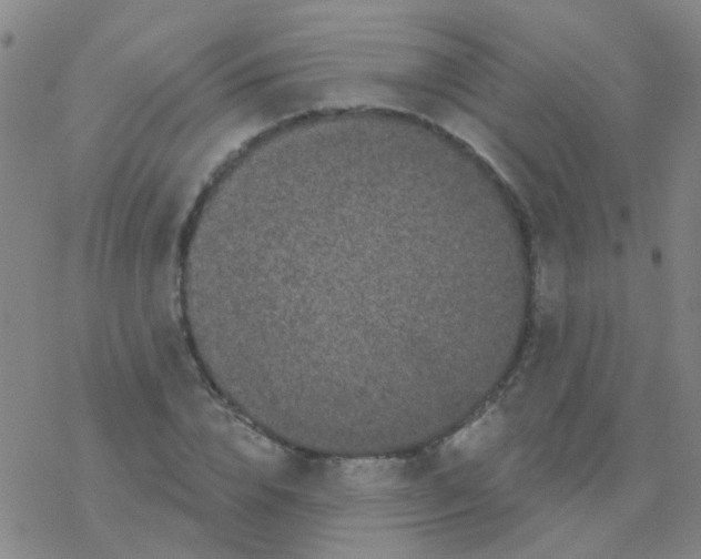 X0000076320832200610272002