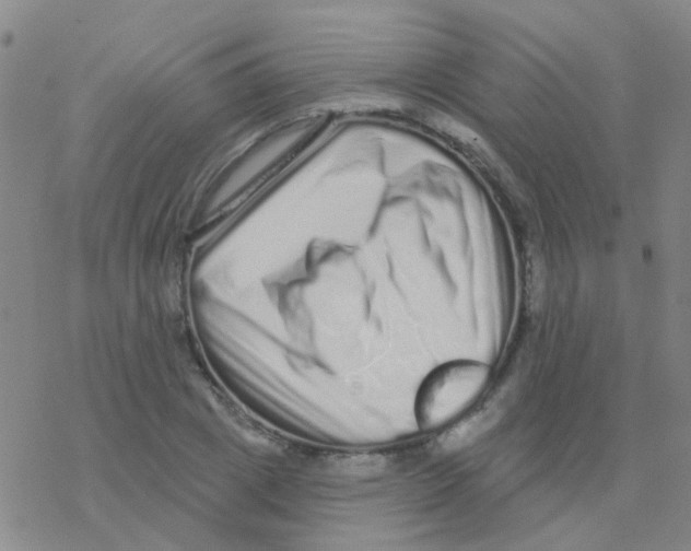 X0000076320833200610272002