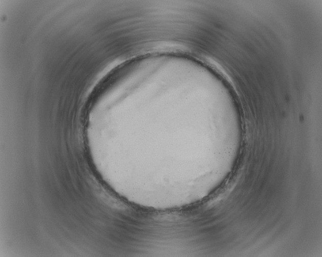 X0000076320835200610272002