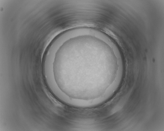 X0000076320836200610272002