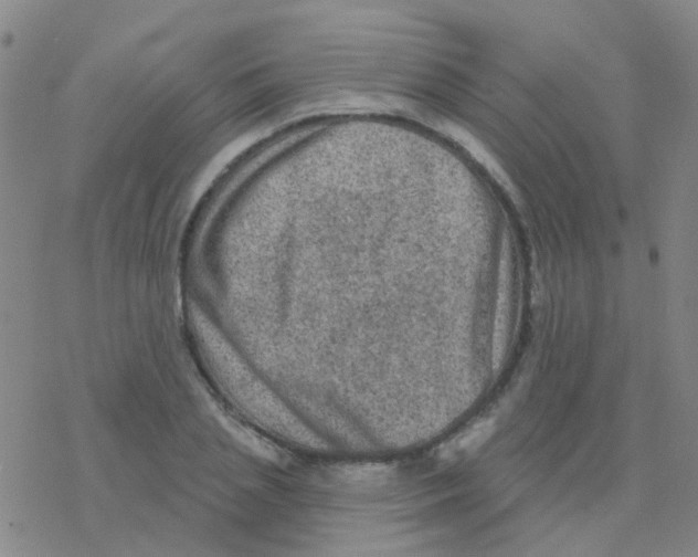 X0000076320837200610272002