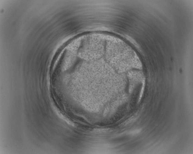 X0000076320840200610272002