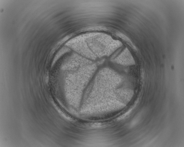 X0000076320841200610272002