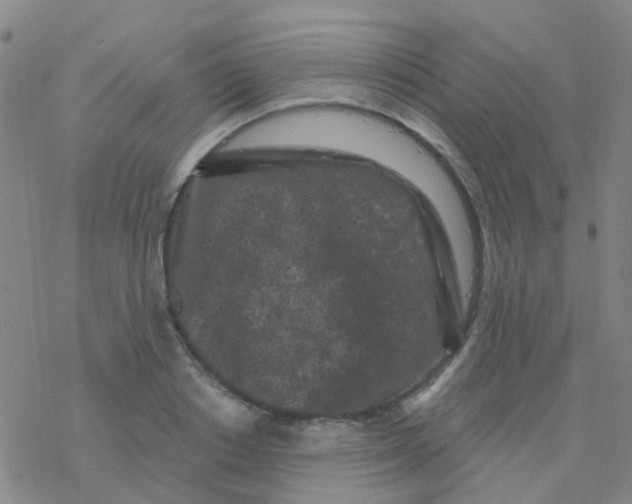 X0000076320842200610272002