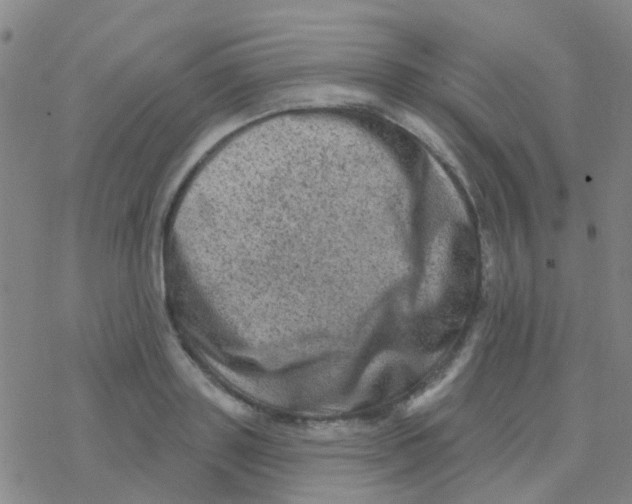 X0000076320843200610272002