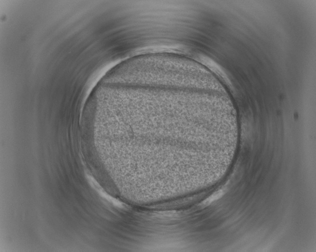 X0000076320844200610272002