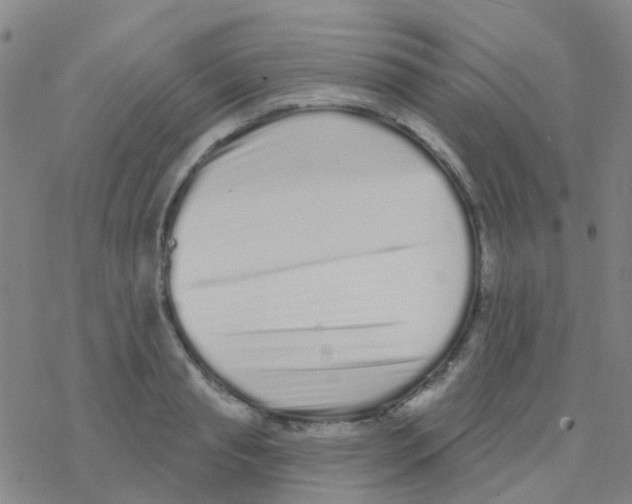 X0000076320845200610272002