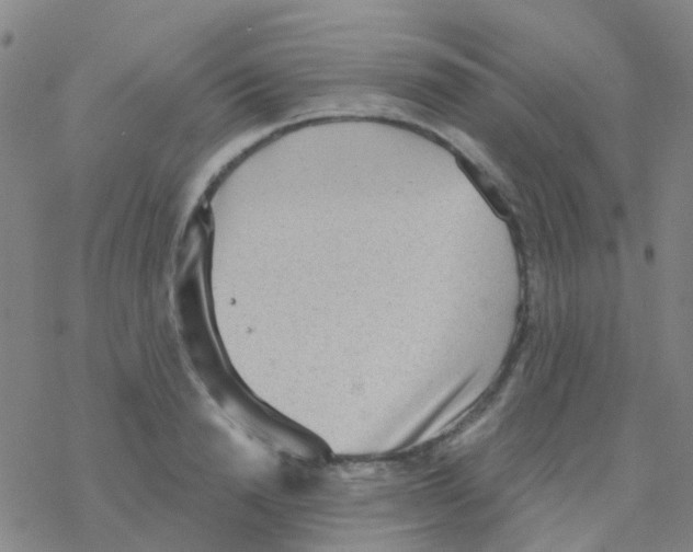 X0000076320846200610272002