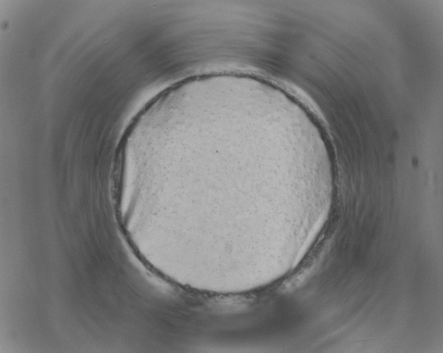 X0000076320847200610272002