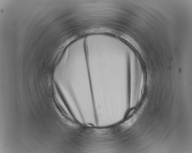 X0000076320849200610272002