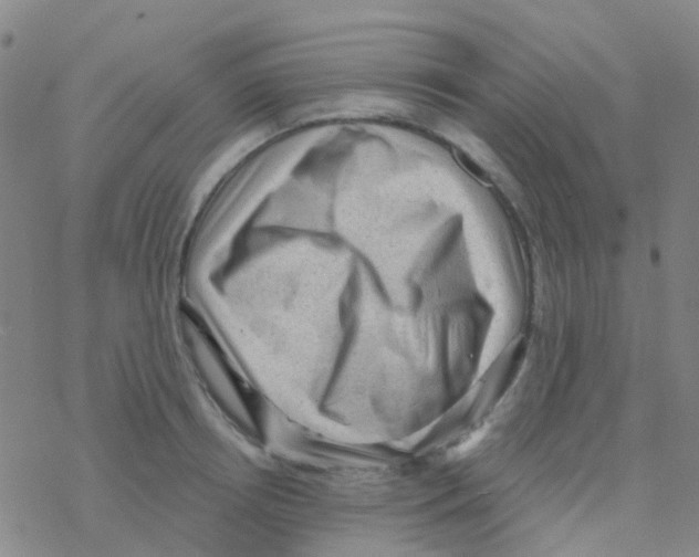 X0000076320850200610272002