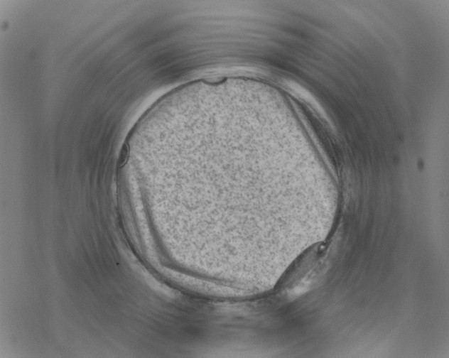 X0000076320852200610272002