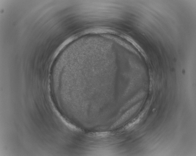 X0000076320853200610272002