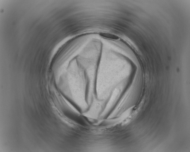 X0000076320854200610272002