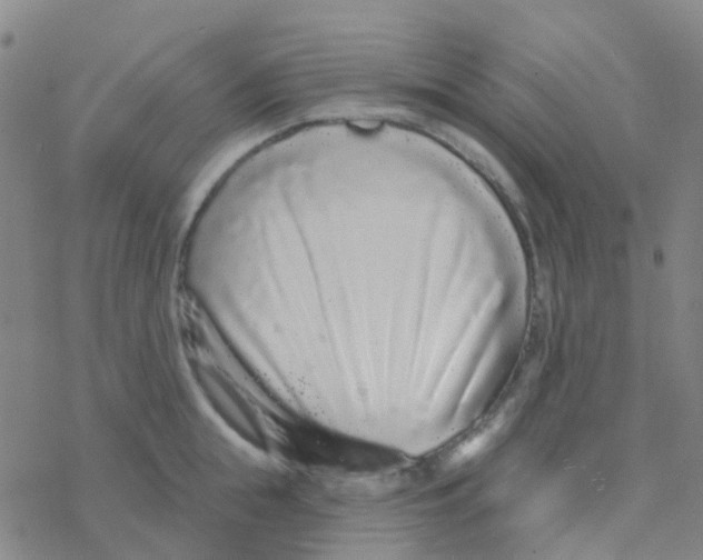 X0000076320855200610272002