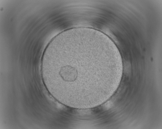 X0000076320856200610272002