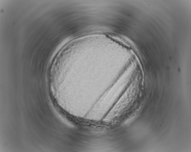 X0000076320859200610272002