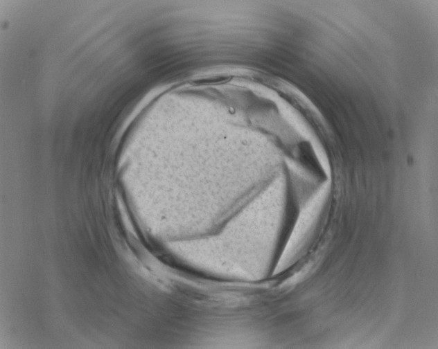 X0000076320860200610272002