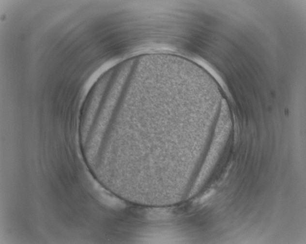 X0000076320861200610272002