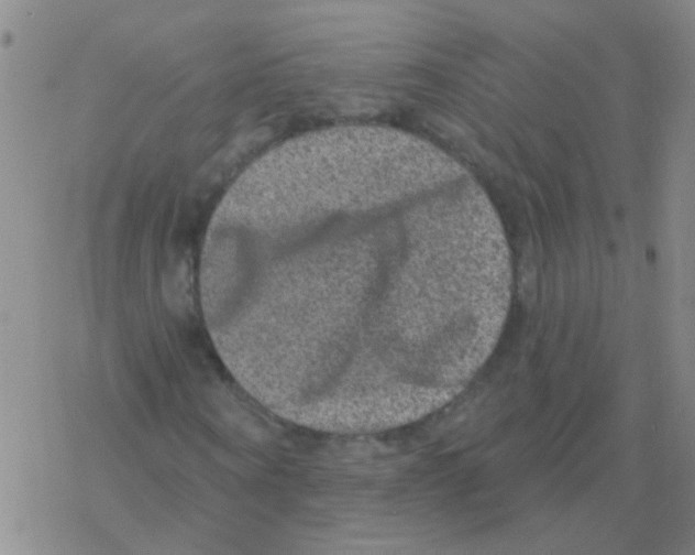 X0000076320866200610272002