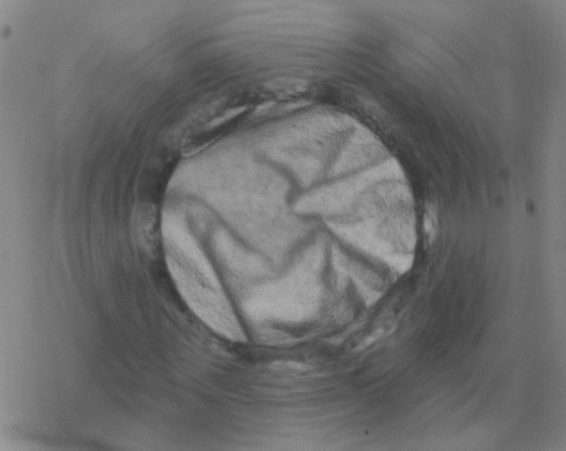 X0000076320867200610272002