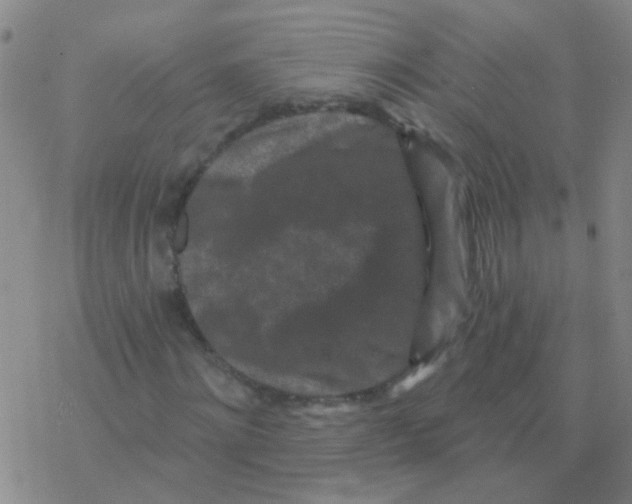 X0000076320868200610272002