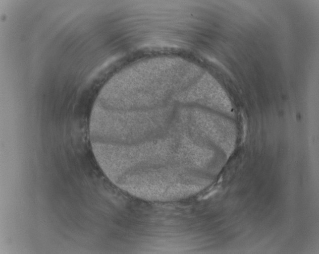 X0000076320870200610272002