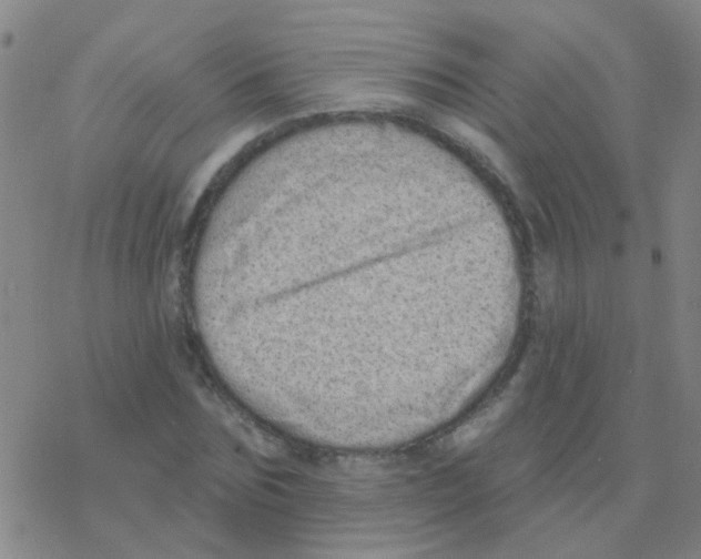 X0000076320875200610272002