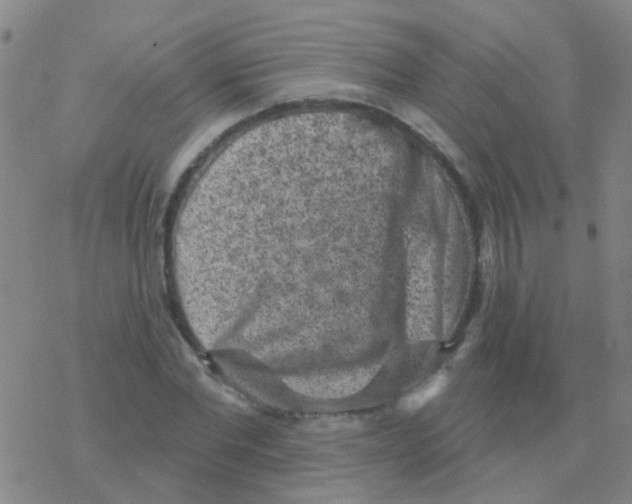 X0000076320877200610272001