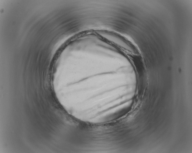 X0000076320879200610272001