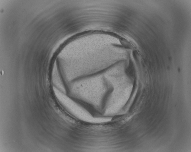 X0000076320880200610272001