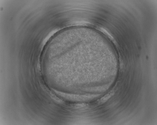 X0000076320883200610272001