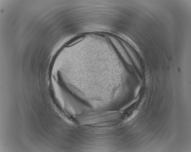 X0000076320885200610272001