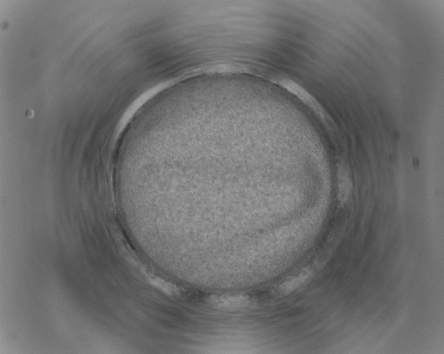 X0000076320886200610272001