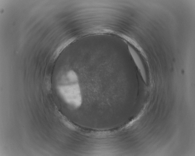 X0000076320889200610272001