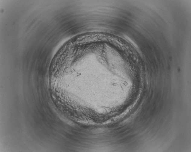 X0000076320891200610272001