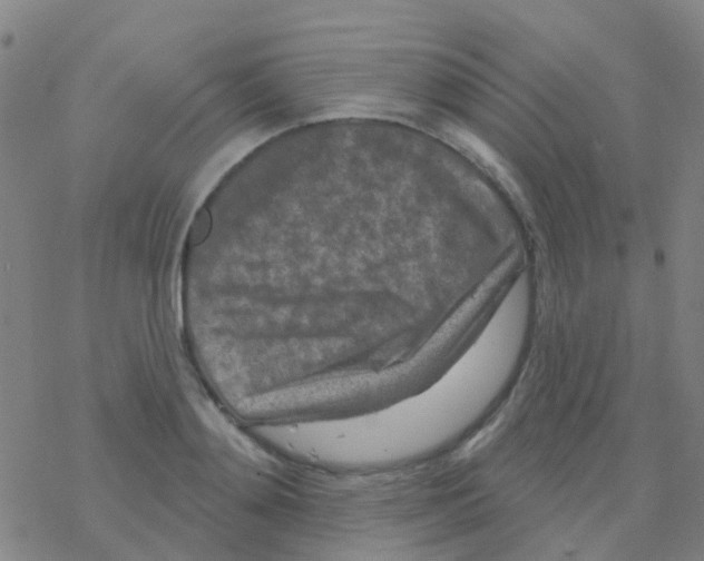 X0000076320892200610272001