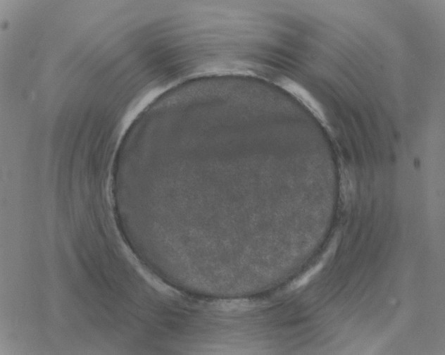 X0000076320893200610272001