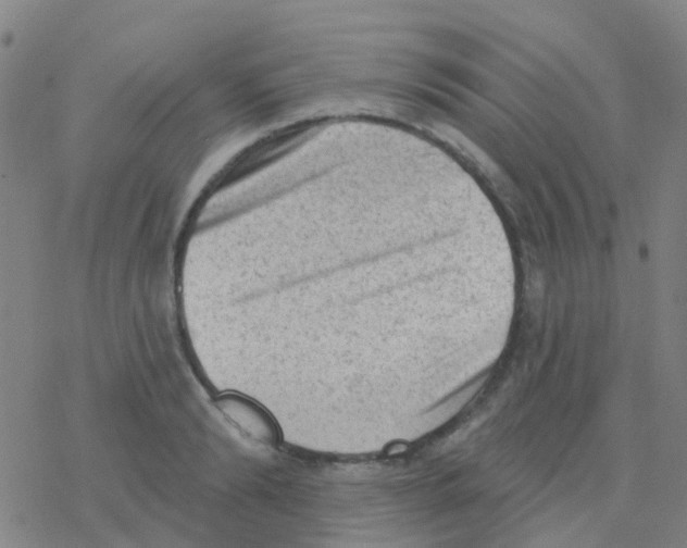 X0000076320894200610272001