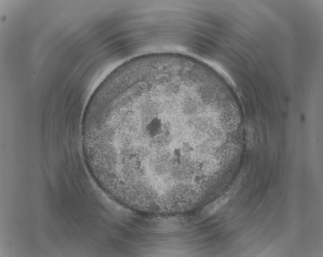 X0000076320895200610272001