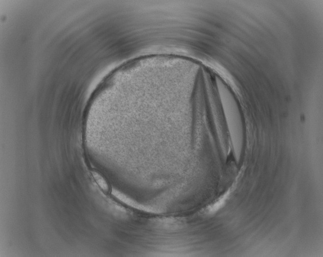 X0000076320896200610272001