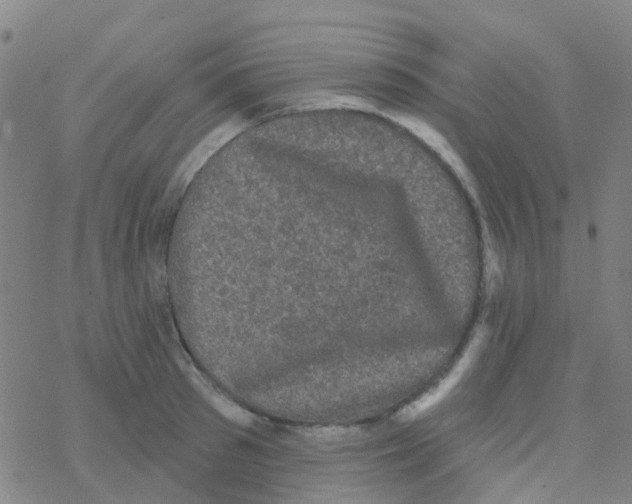 X0000076320897200610272001