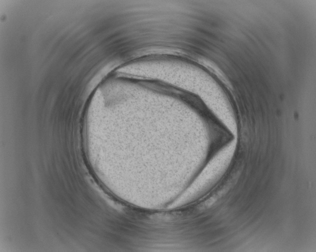 X0000076320898200610272001