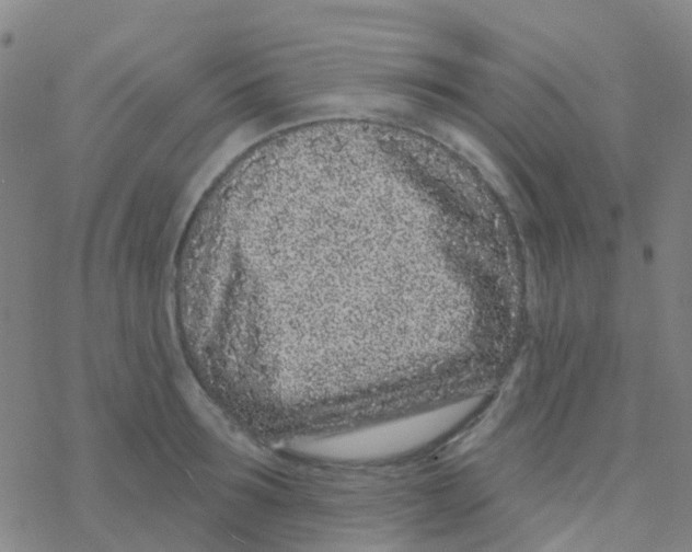 X0000076320899200610272001